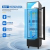 image:imageROVSUN 17 CuFt Commercial Beverage Refrigerator ETL NSF Slim Merchandiser Refrigerator Display Refrigerator Beverage Cooler Glass Door Fridge wAdjustable Shelves LED Light for Bar Restaurant Cafe6 CuFt
