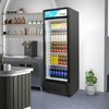 image:imageROVSUN 17 CuFt Commercial Beverage Refrigerator ETL NSF Slim Merchandiser Refrigerator Display Refrigerator Beverage Cooler Glass Door Fridge wAdjustable Shelves LED Light for Bar Restaurant Cafe125 CuFt