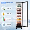 image:imageROVSUN 71 CuFt Commercial Beverage Refrigerator ETL NSF Slim Merchandiser Refrigerator Display Refrigerator Beverage Cooler Glass Door Fridge wAdjustable Shelves LED Light for Bar Restaurant Cafe8 CuFt