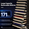 image:imageROVSUN 10W Small Wine Fridge with Compressor 12 Bottles Freestanding Wine Cooler Refrigerator with Touch Panel Control and Glass Door Wine Cellar for Red White Champagne or Sparkling 4164F171 Bottle